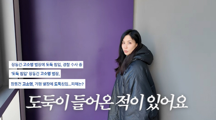 What is the damage of the Gapyeong villa thief that Ko So-young received from the architecture award? I can't find expensive items (that's Ko So-young)