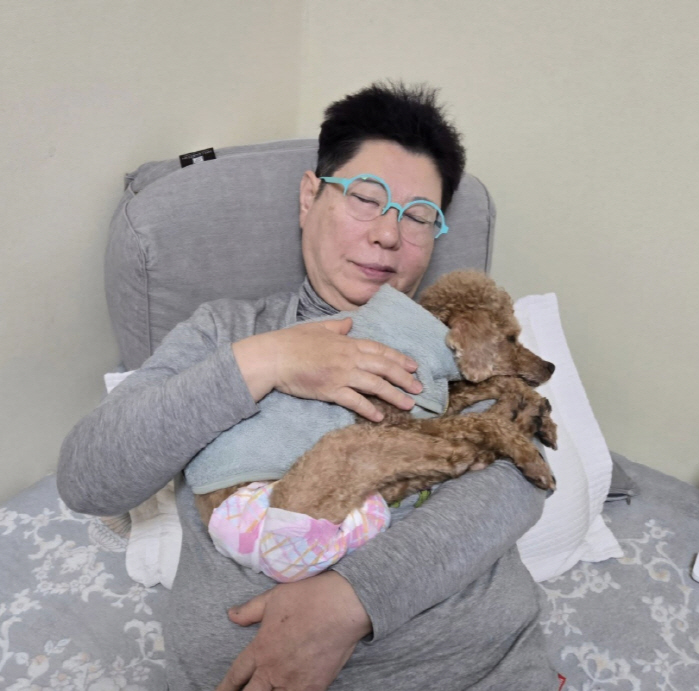 Yang Hee-eun has a high level of pancreatitis, so the pain is severe..18-year-old dog's heartbreak over dementia