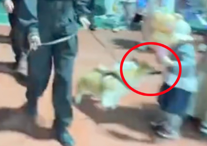 Police dogs steal baby sausages...Forgive me for being cute