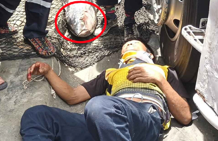 A man hit by a 40kg frozen tuna that fell from the sky, almost...