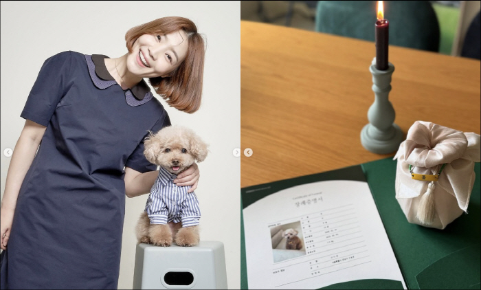 Shin Daeun, I can't clean up the traces of the sad breakup family for 18 years, I miss you so much. 