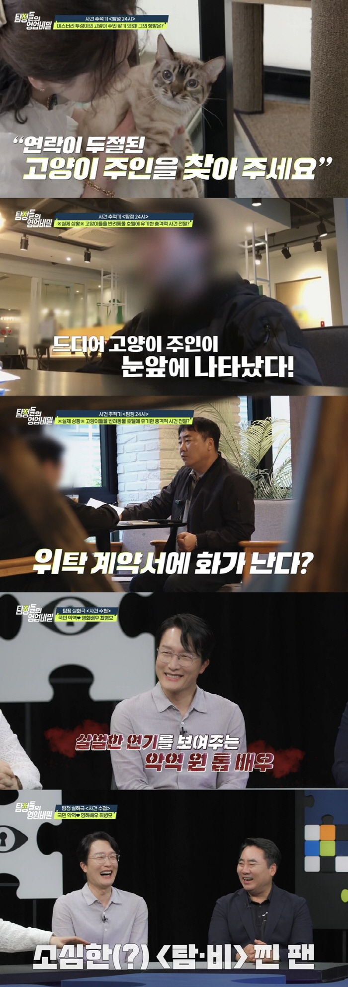 Anger explodes at the neglect of cats...The owner dives, and the hotel fee is 10 million won (business secret)