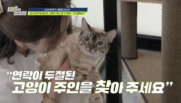 The owner of the cat disappeared after 6 million won in hotel expenses..I'm angry at the consignment contract. What's going on? (Tambi)
