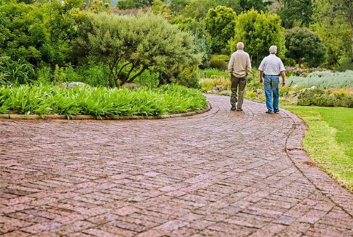 If the research team solves the problem of hearing loss, it can reduce loneliness and social isolation in the elderly
