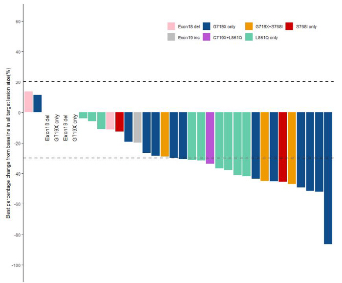 Atypical EGFR Gene Mutant Non-Small Cell Lung Cancer Effect Confirmation