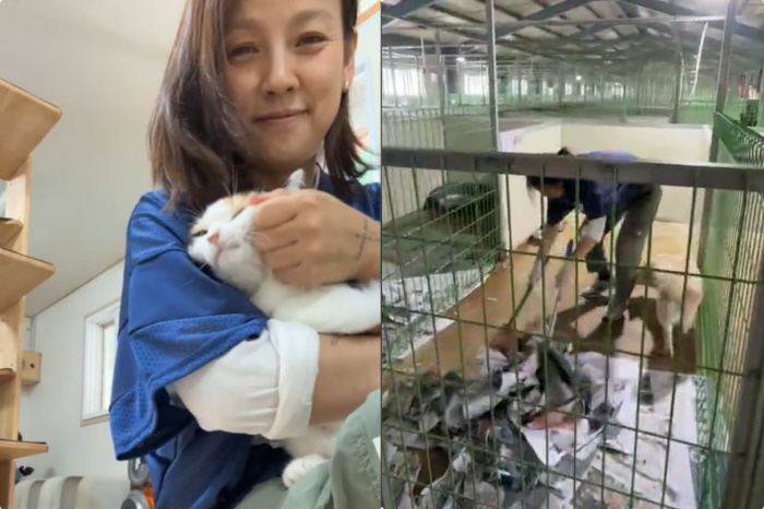 Lee Hyo-ri ♥ Lee Sang-soon couple and good deeds..Donating 2 tons of feed from organic animal shelters  cleaning service 