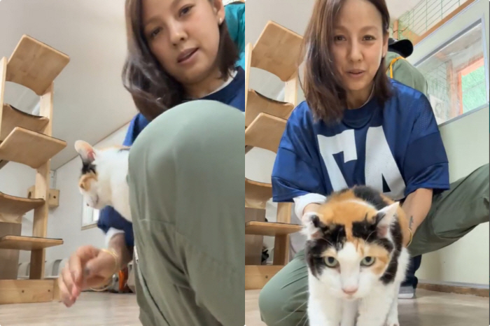 Lee Hyori Continues Devotion to Abandoned Animals From Jeju to Seoul