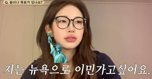  Choi Jun-hee mentions Choi Jin-sil legacy...New York Immigration and Plastic Surgery Goals Work All the Dungs