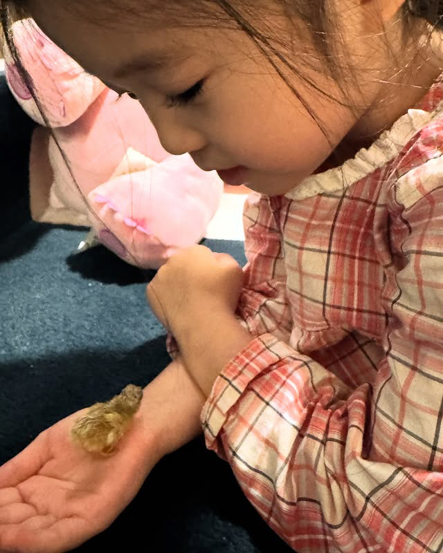 Shin Hyun-jun's daughter, please grow up well when you meet your new family for the first time..A child-level beauty surprise
