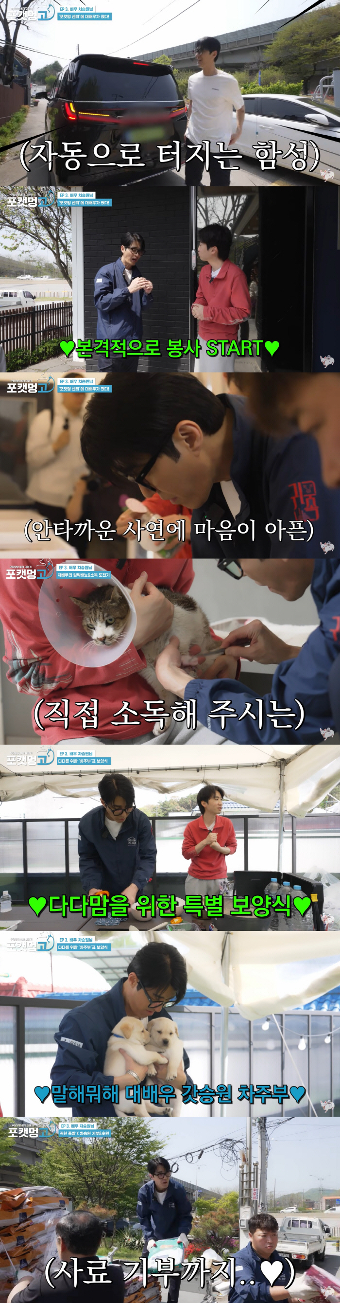 Cha Seung-won Volunteers at Shelter, Donates 1 Ton of Pet Food
