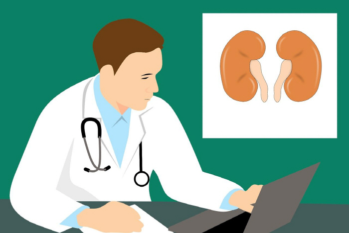Development of AI model to predict remaining kidney function after donating one kidney