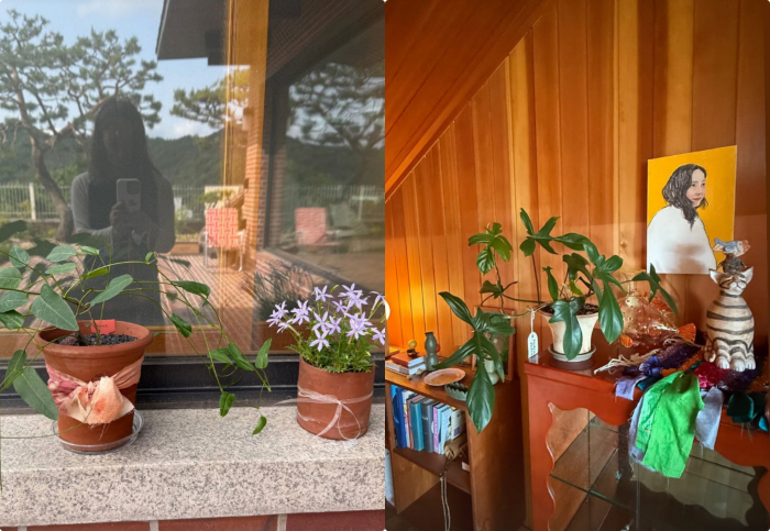 Lee Hyo-ri unveils 6 billion Pyeongchang-dong detached house..Nature-friendly interior full of healing