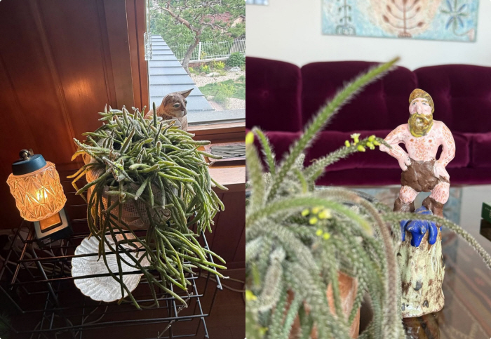 Lee Hyo-ri unveils 6 billion Pyeongchang-dong detached house..Nature-friendly interior full of healing