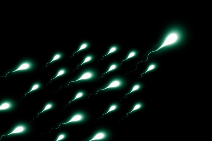 Infertile Men 36% Blood Phosphate Levels Low...Affecting sperm motility