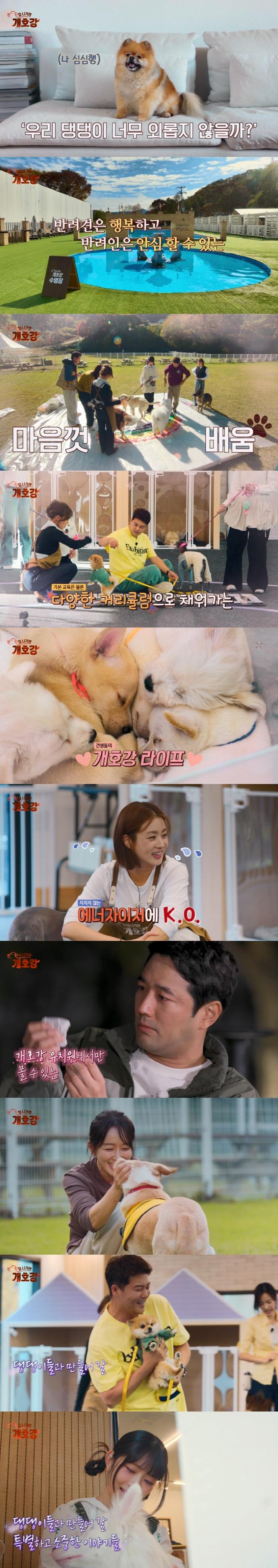 Jeon Hyun-moo operates a nursing home kindergarten...Cho Han-sun → Partnering with I-RAY