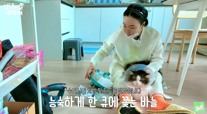 '54 years old' Kim Jung-nan, who lives alone in a three-story house, gets the sap for raising six old cats, and gets a haircut himself