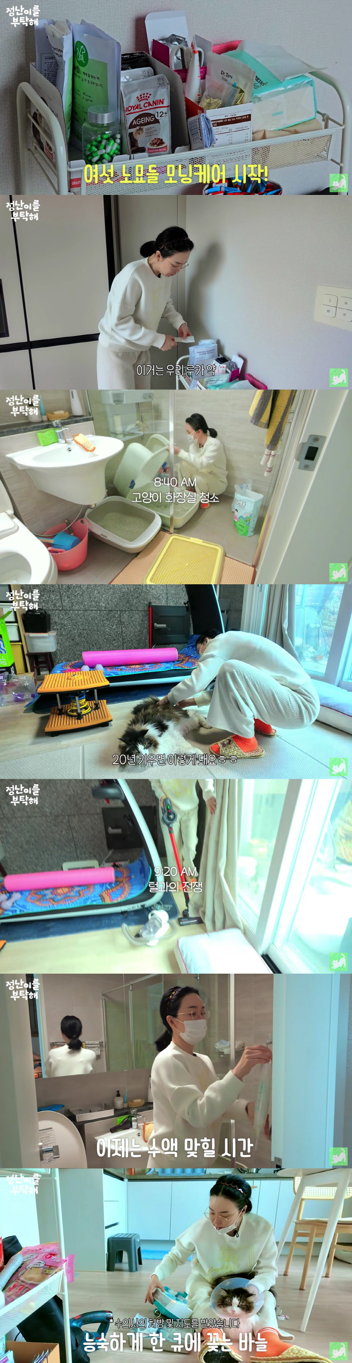 '54 years old' Kim Jung-nan, who lives alone in a three-story house, gets the sap for raising six old cats, and gets a haircut himself