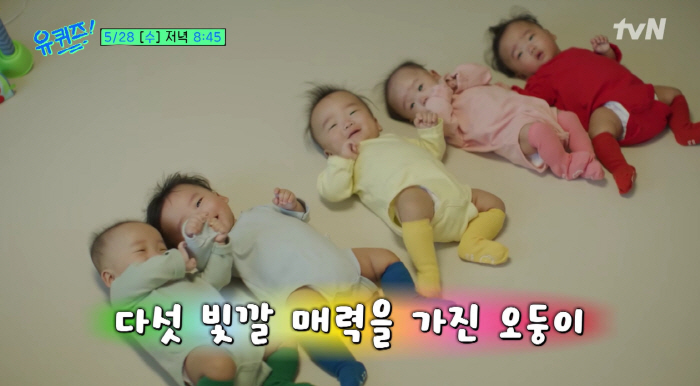 I'm sorry I was born small..Korea's First Natural Pregnant Five Twins Couple, U-Quiz Will Come Up