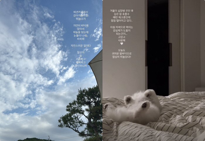 'Female Cancer Fight' Lee Sol, the recent winter with heart disease, the respiratory rate is dropping