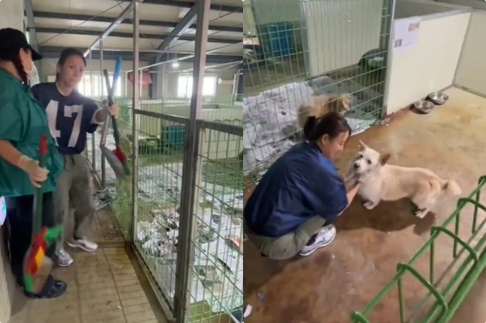 Lee Hyori and Lee Sang-soon Donate 3 Tons to Animal Shelters
