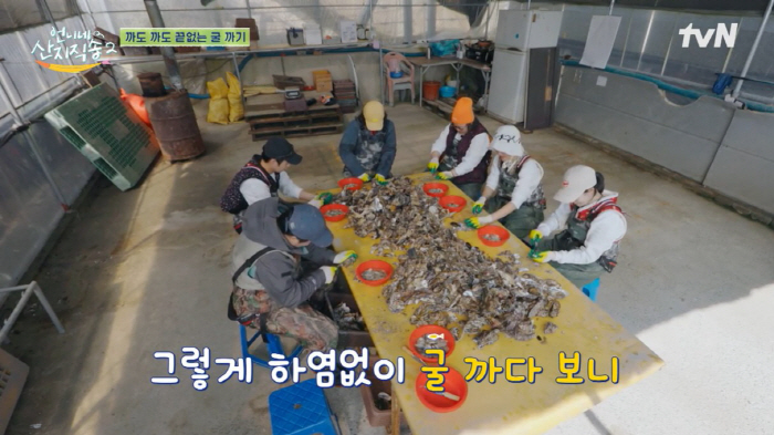 The milk oyster of the sea that caught you directly from the mountains...Why is it good for cardiovascular health?
