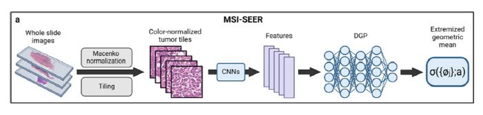 Development of AI Model for Predicting the Effect of Immuno-Anonics...Precision medical collaboration between doctors and artificial intelligence
