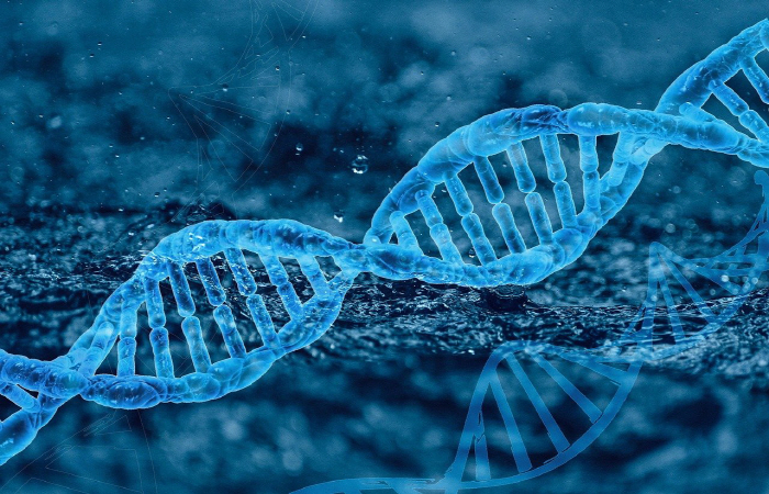 Genetic therapy Market Size Grows to KRW 50 trillion in 2032