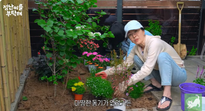 Kim Jung-nan decorated the yard of a three-story house, and the shabby garden, and the price of flowers alone is 210,000 won