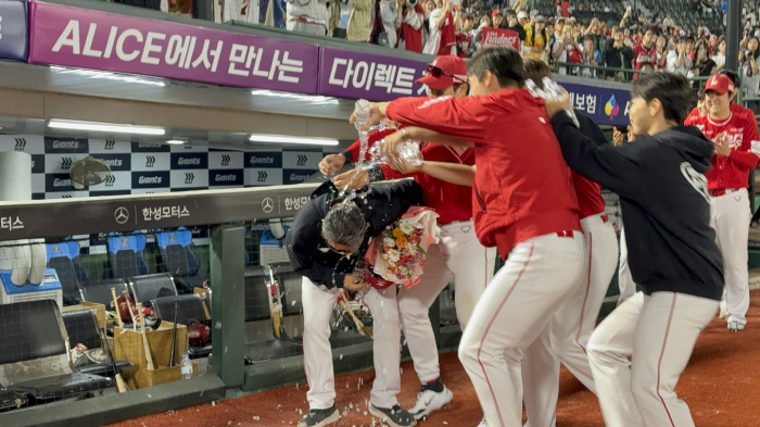 100 wins, Lee Sung Yong's embarrassed cake charge...Who's the culprit? The power of the original team. 
