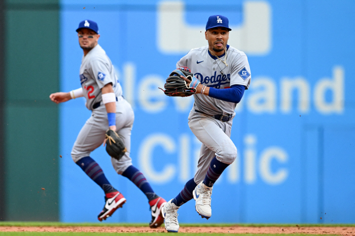 Does the energy of the universe come to Kim Hye-sung? Los Angeles Dodgers' starting shortstop Betts injured toe collision at home. an unexpected opportunity for Kim Hye-sung