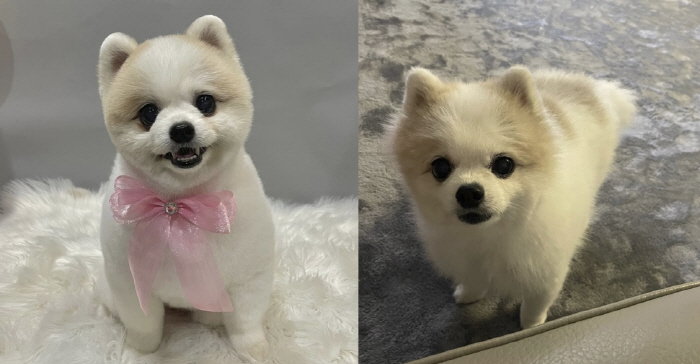 Shin Soo-ji sent the youngest away I crossed the rainbow bridge in the early morning