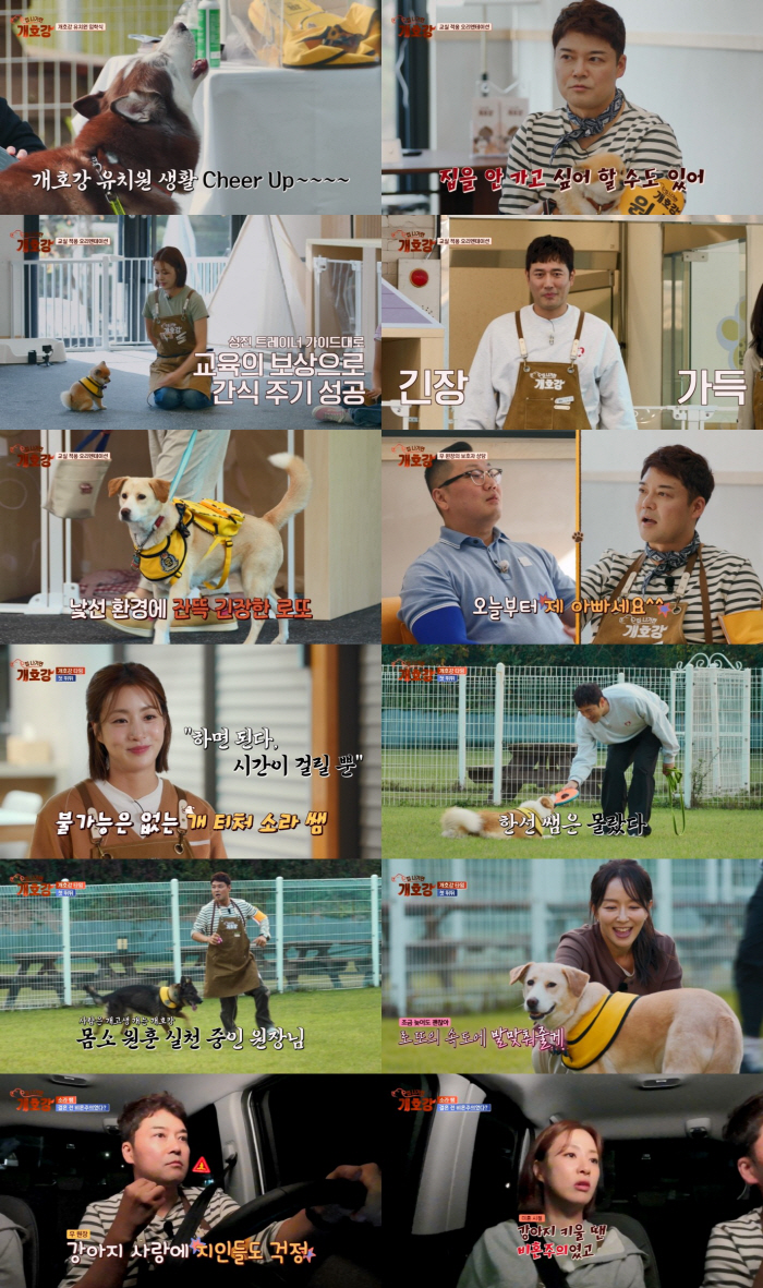 ‘Paws in Paradise’ Jun Hyun-moo Leads Customized Care Program for Rescue Dogs on JTBC