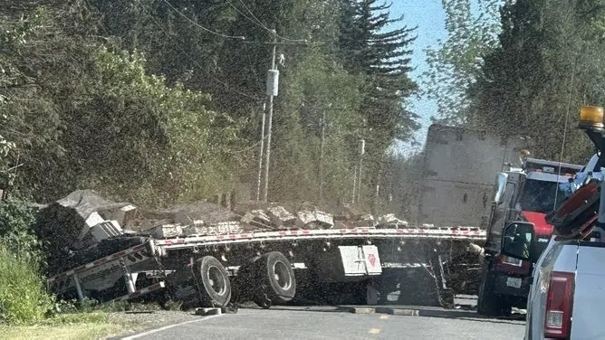 Bees are in trouble over the truck rollover...250 million hives spilled out