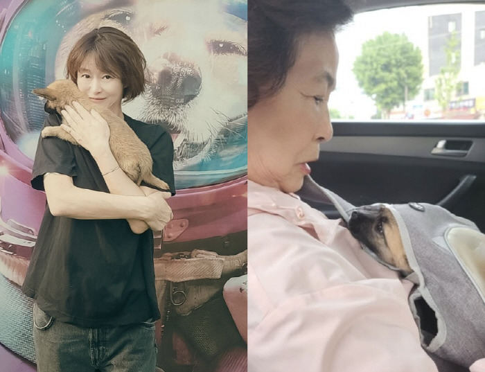 Single Ye Ji-won in her 50s adopted a rescue dog from wildfires despite welcoming her new family
