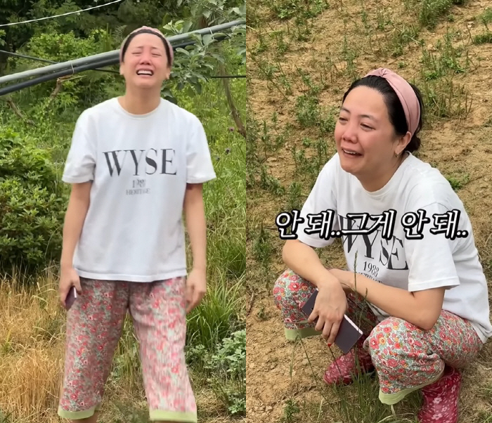 Go-eun, the dog who suffered from heart disease with sobbing due to a sudden breakup leaves, and I can't stop crying