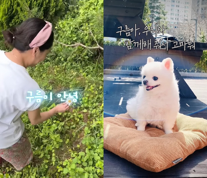 Go-eun, the dog who suffered from heart disease with sobbing due to a sudden breakup leaves, and I can't stop crying
