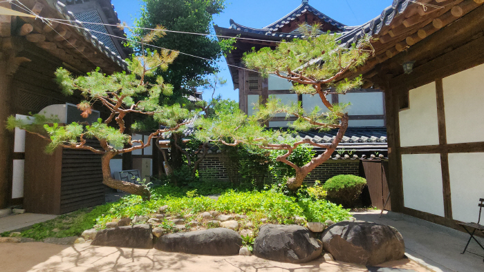 Jeonbuk Hyundai sponsors Jeonju Hanok Village Garden