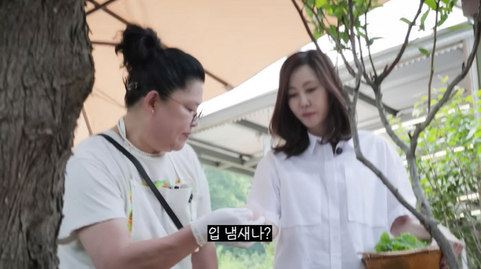Lee Young-ja and Kim Nam-joo are worried about the smell of their breath...Solved at once (Lee Young-ja TV)