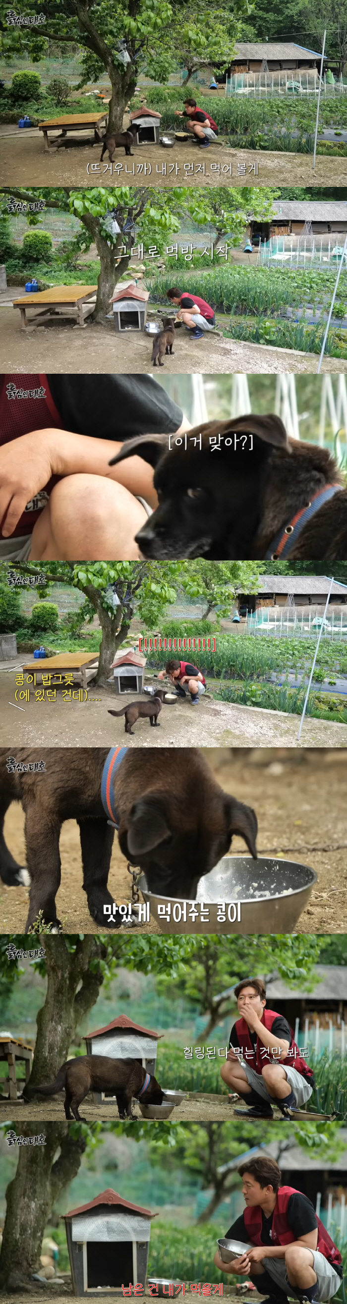 Kim Daeho, shocking dog food eating show..'I'll eat this'. Unexpected action