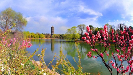 Online sales of 4,000 won for 500ml of lake water at prestigious universities...Bong is as good as Kim Sun Moon