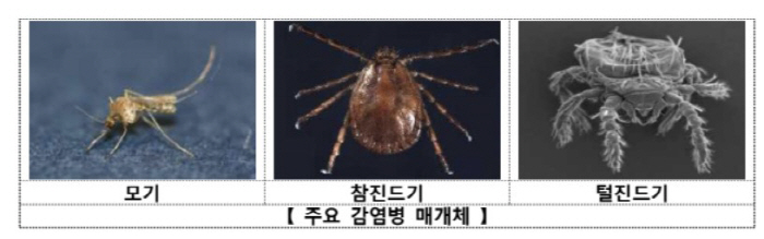 Climate change risks vector-borne infectious diseases ↑…What are the rules for preventing mosquito and tick damage?