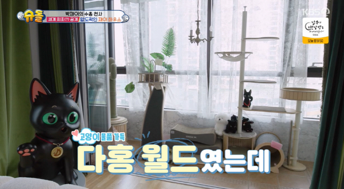 Park Soo-hong's custom remodeling of Apgujeong House worth 7 billion won has been completed. The main room is Jae Yi Bang (Shudol) 