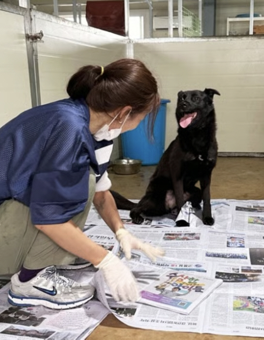 Advertising revenue of 4.2 billion Lee Hyo-ri donated 18 tons of feed to 17 organic animal shelters