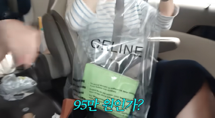 Choi Hwa-jung, 830,000 won luxury bag...Anger at handling plastic bags now more expensive