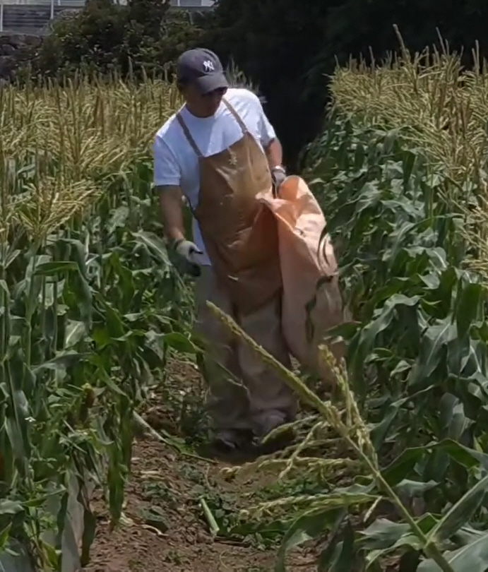 Cool Lee Jae-hoon, What's Up With KRW 12,000 An Hourly…51-year-old turned sexy farmer 