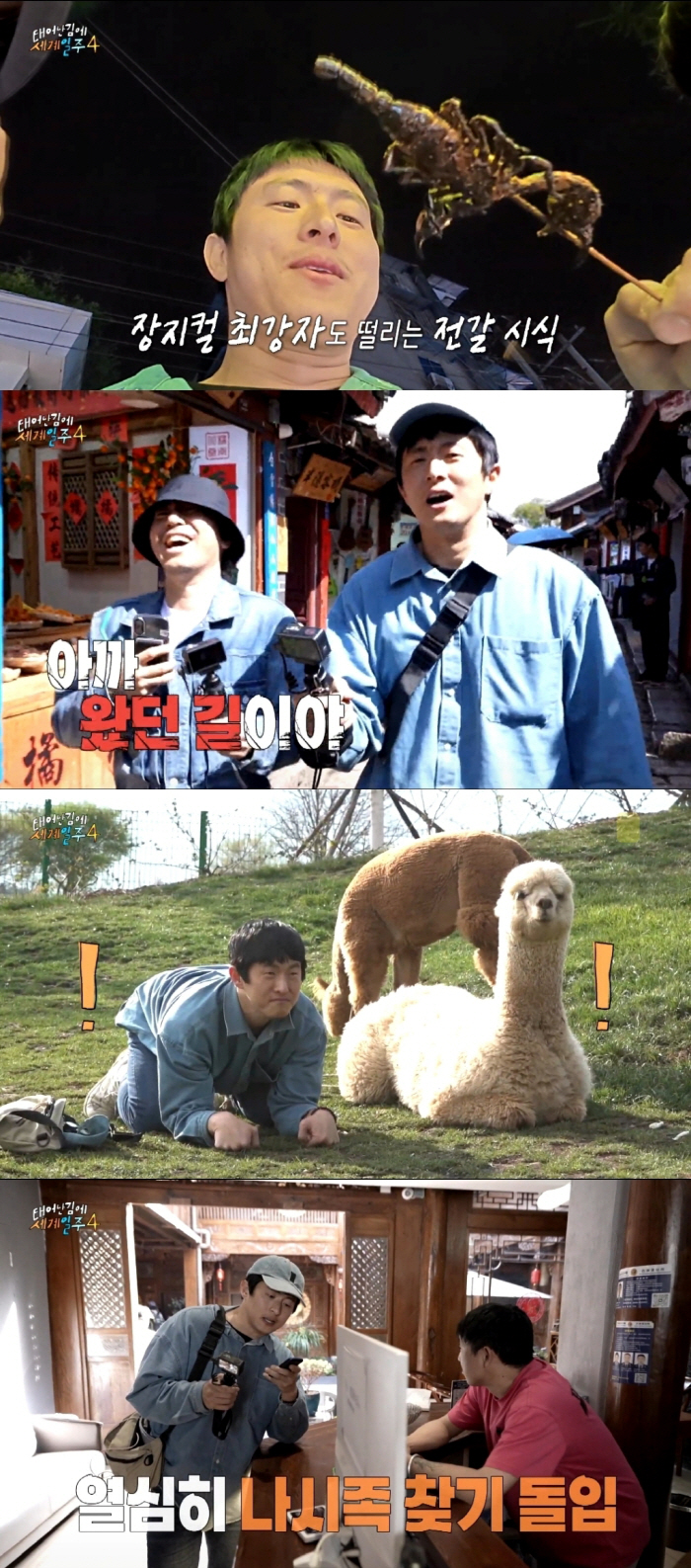 Dex parting → 'Sorry about the alpaca incident' Lee Si-eon and Gian 84, complete the alpaca narrative (Taegye Ilju 4)