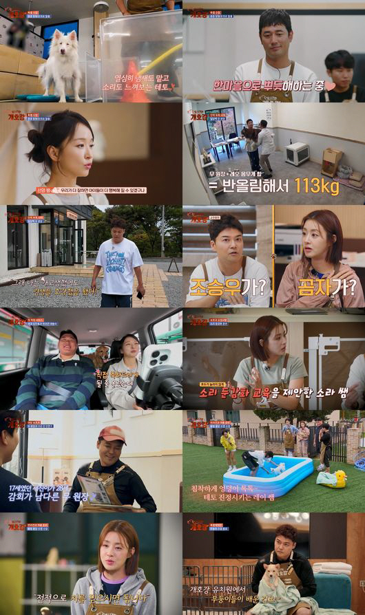  Let's breathe Jeon Hyun-moo, exhausted by the husky running for 30 minutes...Diet is a success