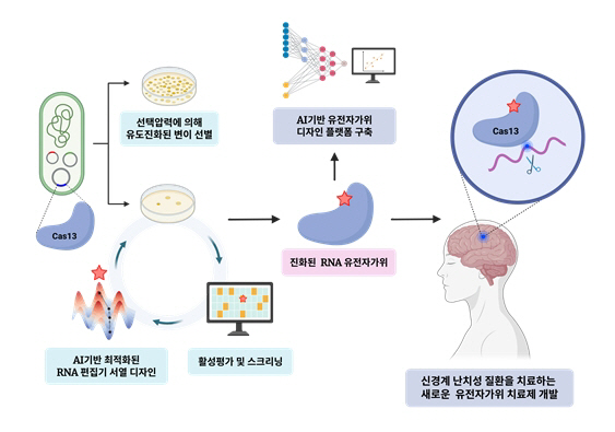 Will treatment for Parkinson's disease and Lou Gehrig's disease open the way?Next-generation RNA editing research begins in earnest