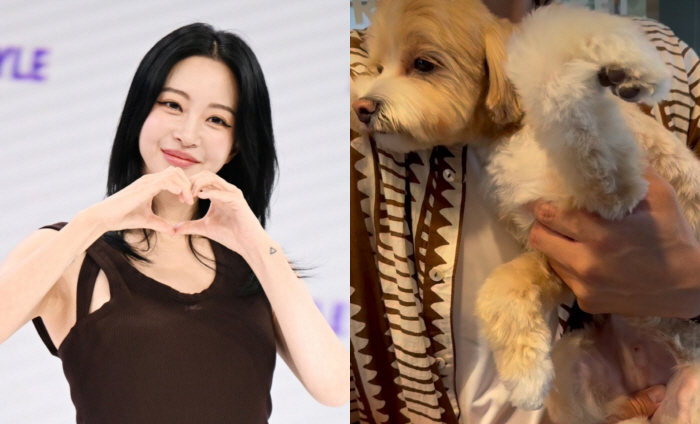 Han Ye-seul in Tears After Dog Is Injured in Pet Hotel Accident
