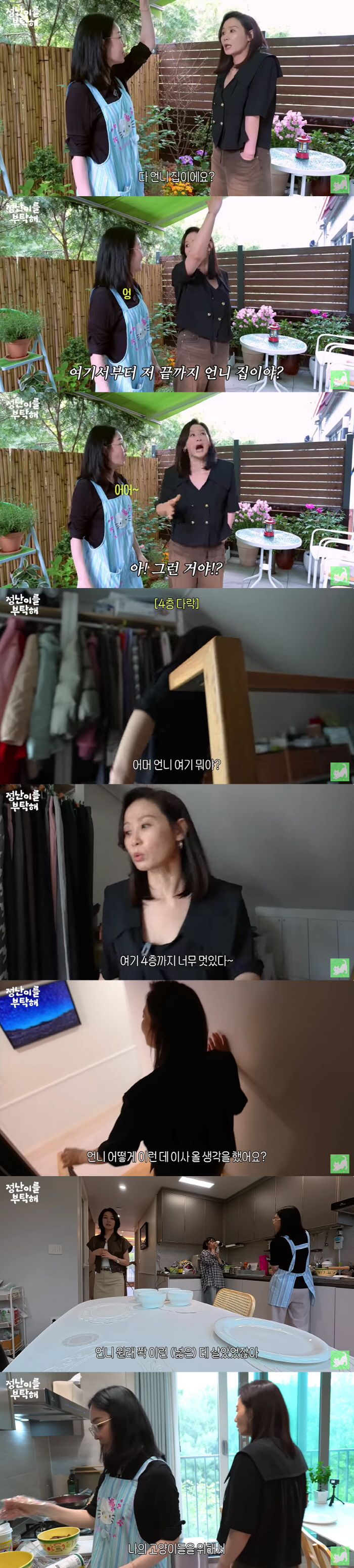 54-year-old Kim Jung-nan reveals a four-story house where he lives with six old cats..It feels like I'm living in a cat house